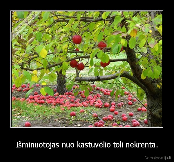 patarle