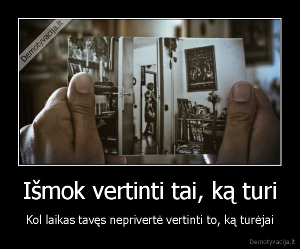 vertybes,seima