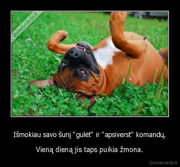juoda,ziauru