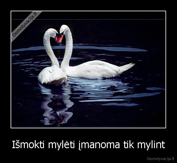 Išmokti mylėti įmanoma tik mylint