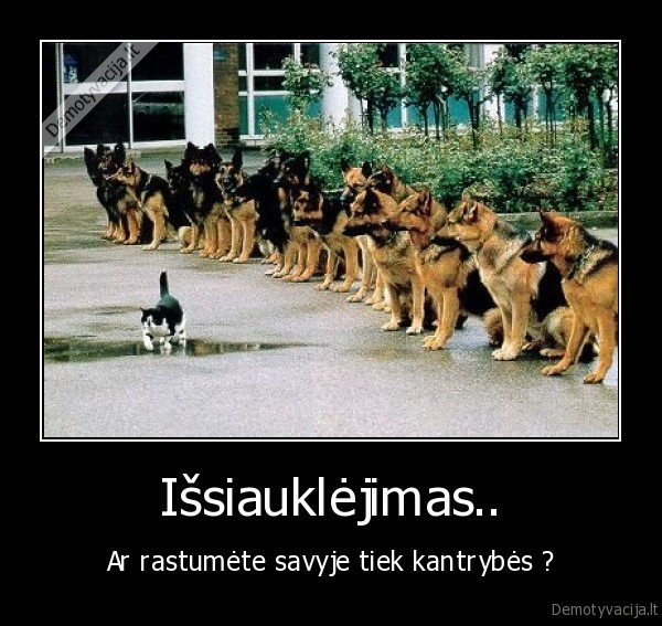 Išsiauklėjimas..