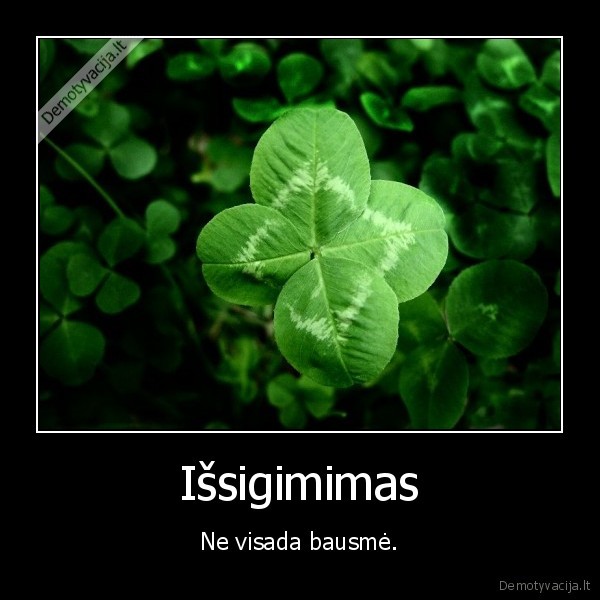 dobilas,keturi, lapeliai,issigimimas