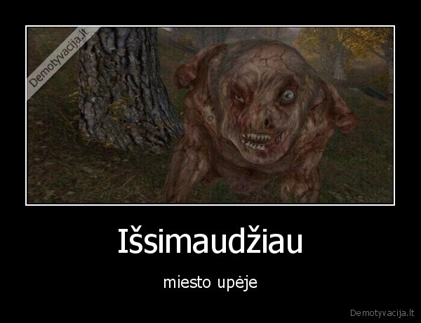 upe,miestas,purvas