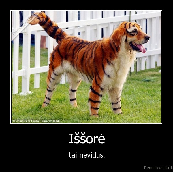 Iššorė