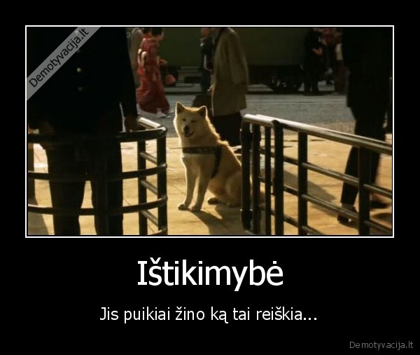 hachiko