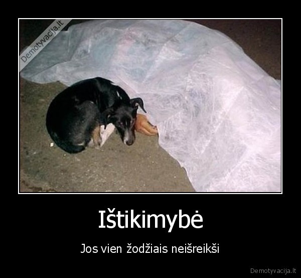 Ištikimybė