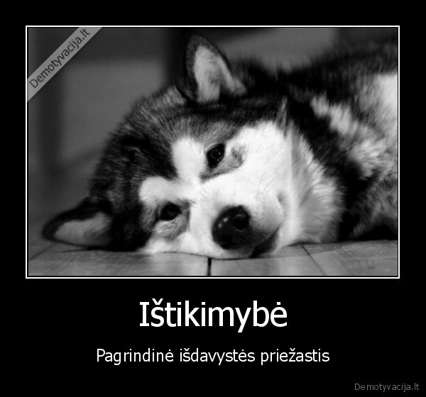 Ištikimybė