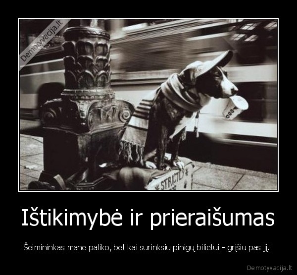 gyvunu, istikimybe,seimininkas,zmogus,paliktas