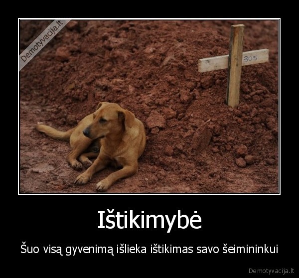 Ištikimybė