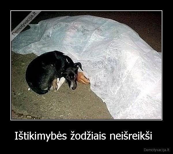 Ištikimybės žodžiais neišreikši  