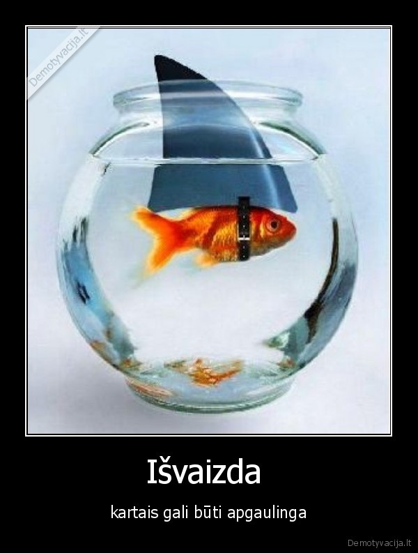Išvaizda 