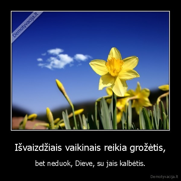 Išvaizdžiais vaikinais reikia grožėtis,