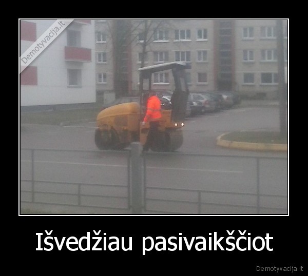 Išvedžiau pasivaikščiot