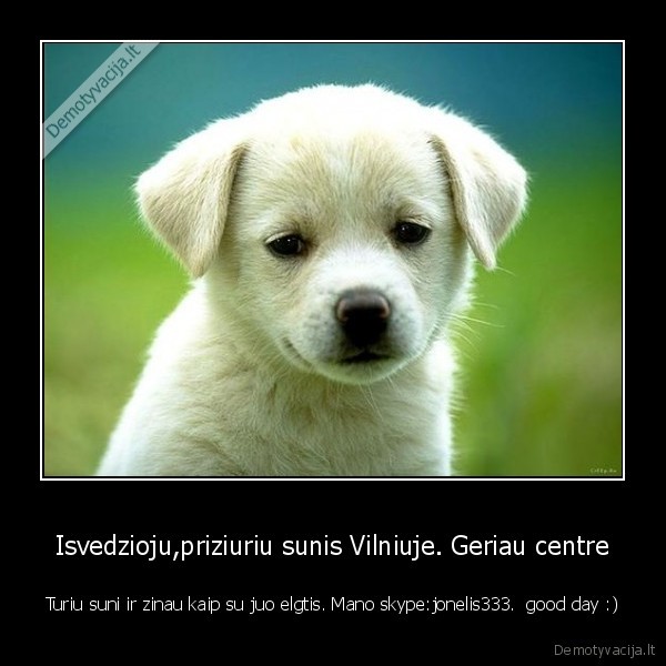 jei, isvaziave, as, galiu, but, reikalingas, arba, kai, neturit, laiko, vedziojimui