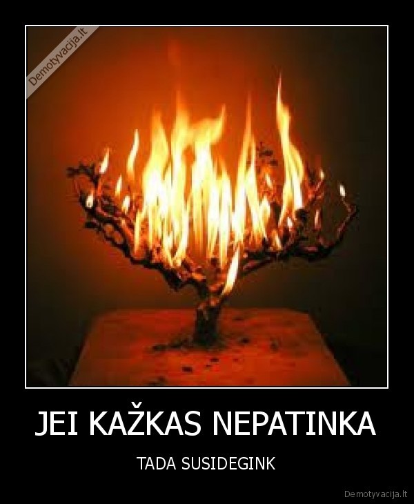JEI KAŽKAS NEPATINKA