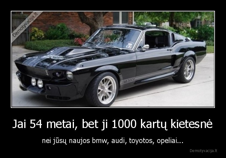 mustang,shelby,gt,ford