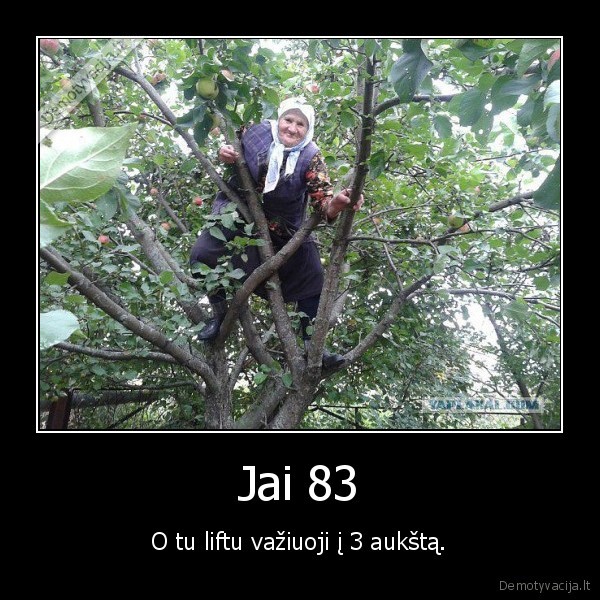 liftas,mociute,sena,medis