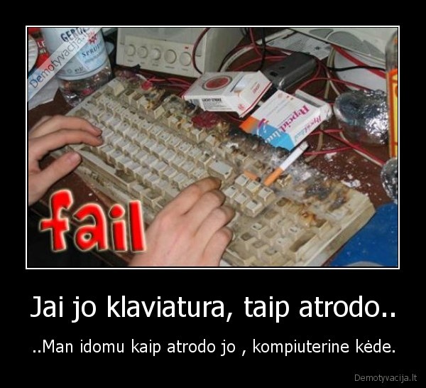 nolaiferiai