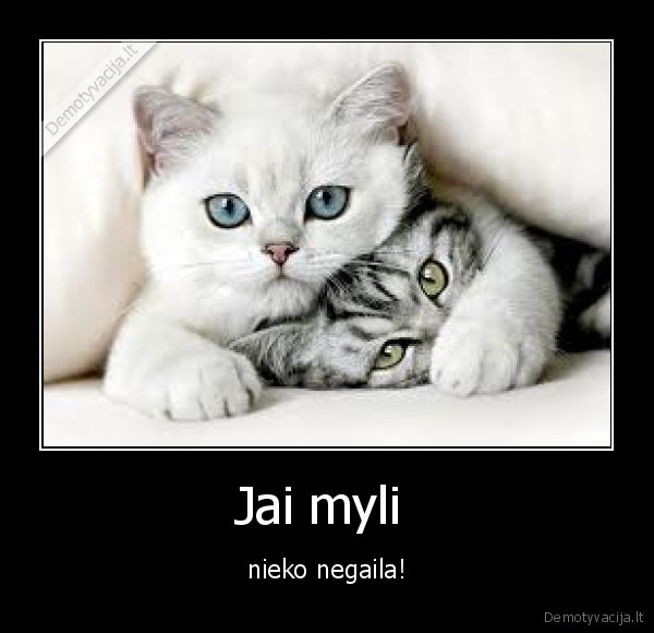 Jai myli 