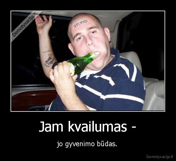 kvailumas,gyvenimo, budas,gyvenimas