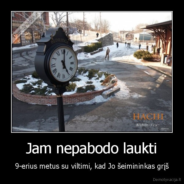 hachiko