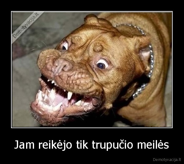 suo, pyktis, meile, ka_tu