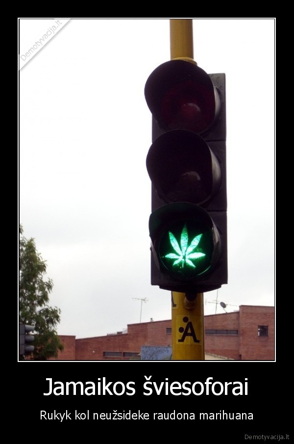 Jamaikos šviesoforai
