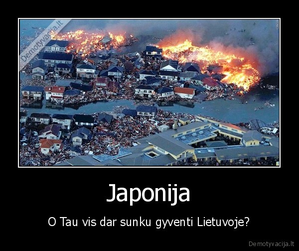 katastrofa, japonija, kubilius, nera, kaltas, visi, zmones, kalti