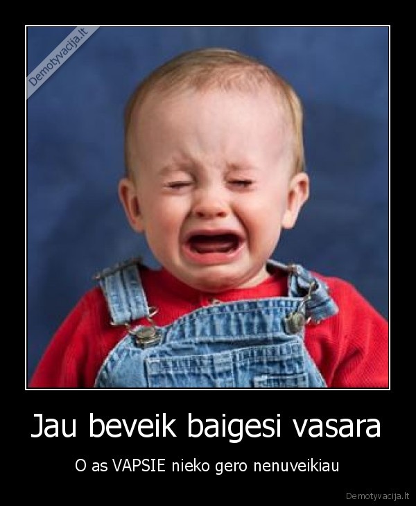 Jau beveik baigesi vasara