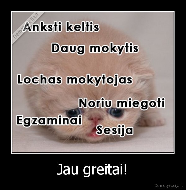 ruduo,studentai,mokslai
