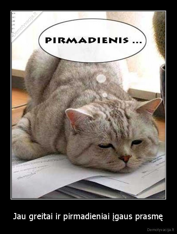 pirmadienis,mokykla