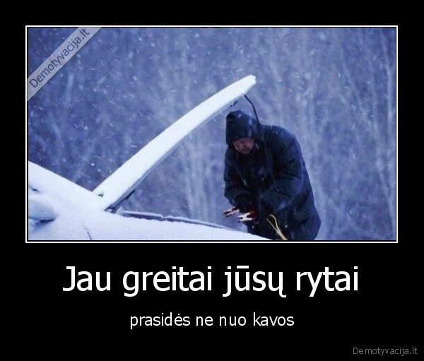 kava,rytas