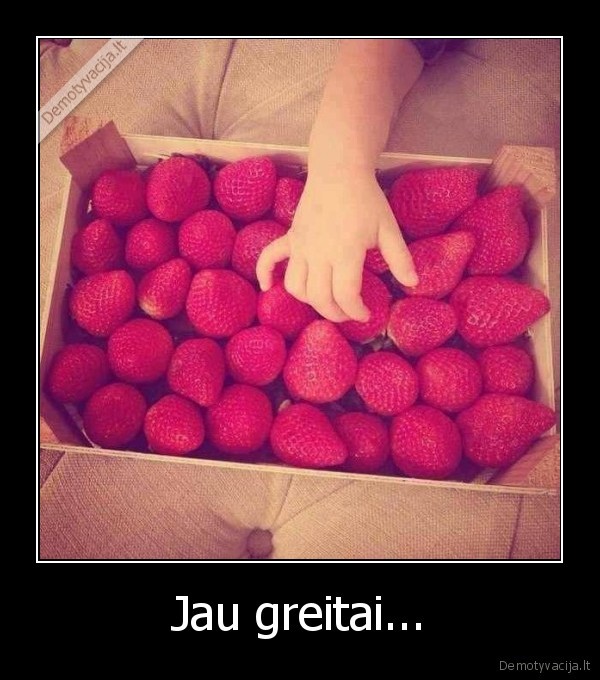 braskes,skanu,vasara