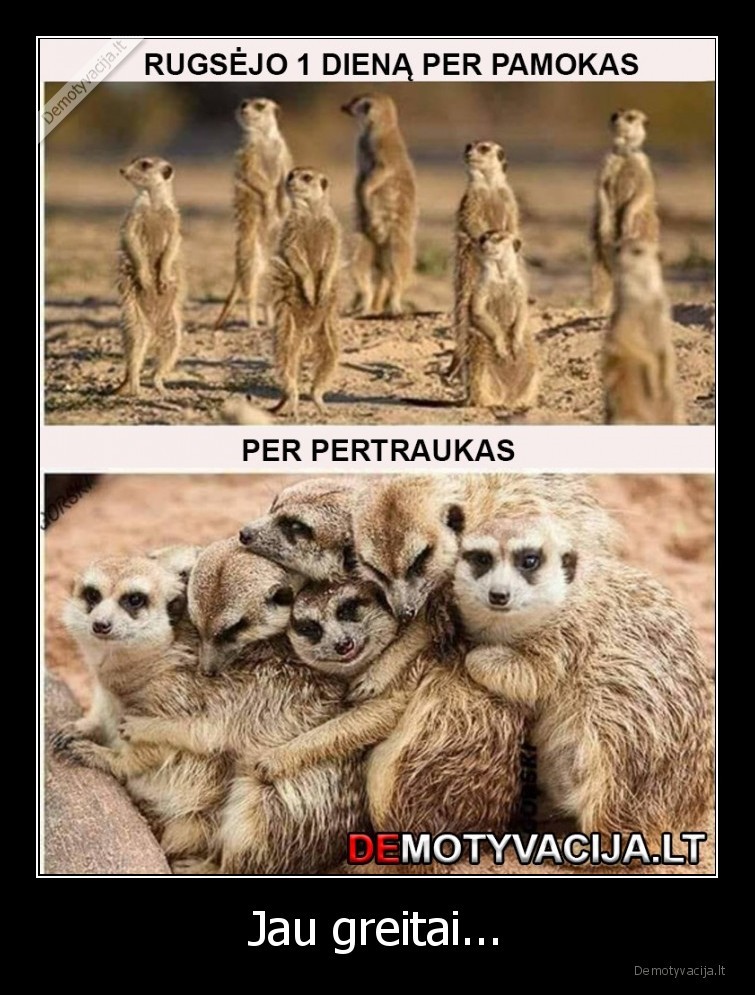 mokykla,rugsejis,mokiniai