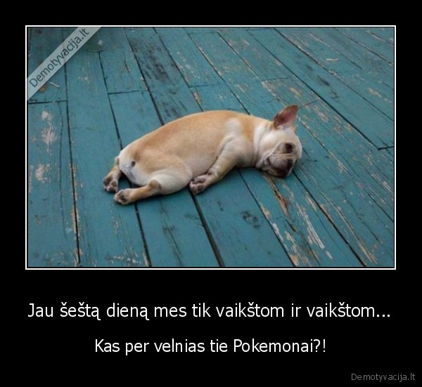 suo,pavarges,pokemon, go
