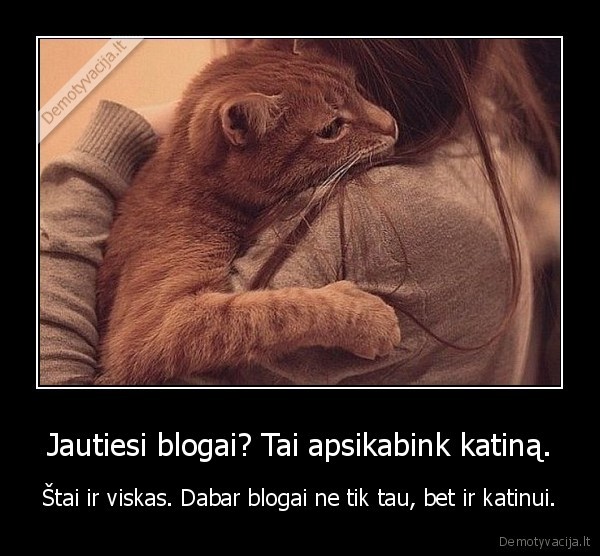 Jautiesi blogai? Tai apsikabink katiną.