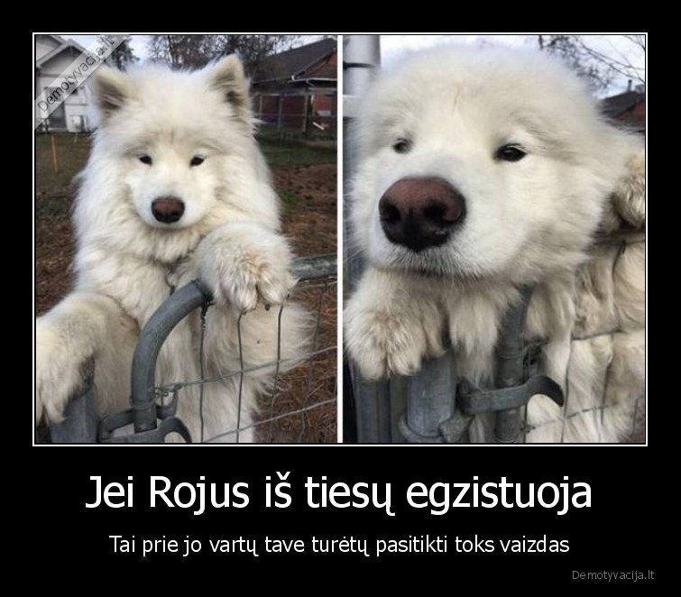 suo,rojus