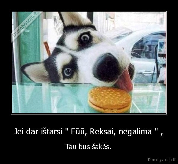 suo,sako,kubiliau,sumazink, pensijas,mociute,nori,sausainiu