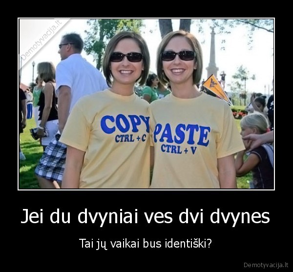 Jei du dvyniai ves dvi dvynes