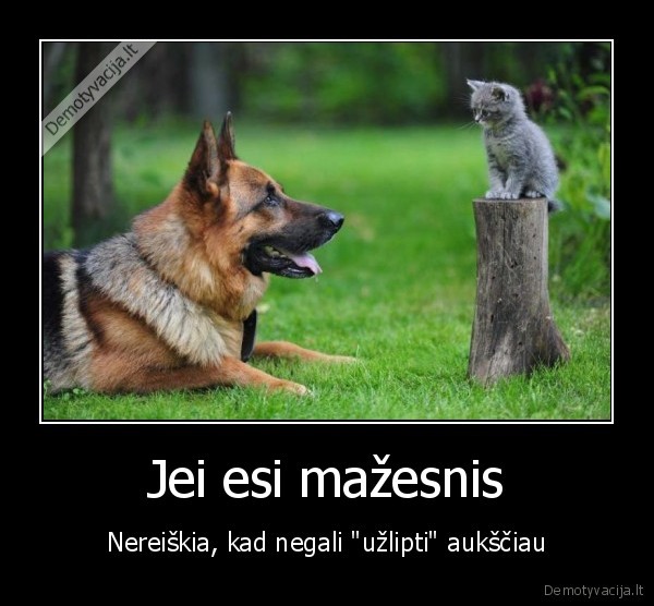 Jei esi mažesnis
