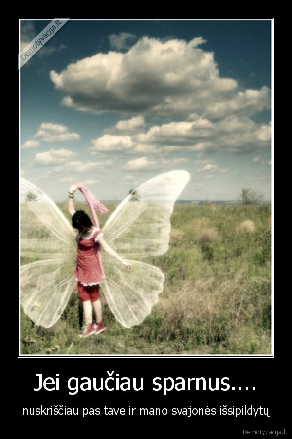 Jei gaučiau sparnus....