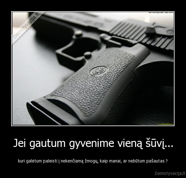 Jei gautum gyvenime vieną šūvį...