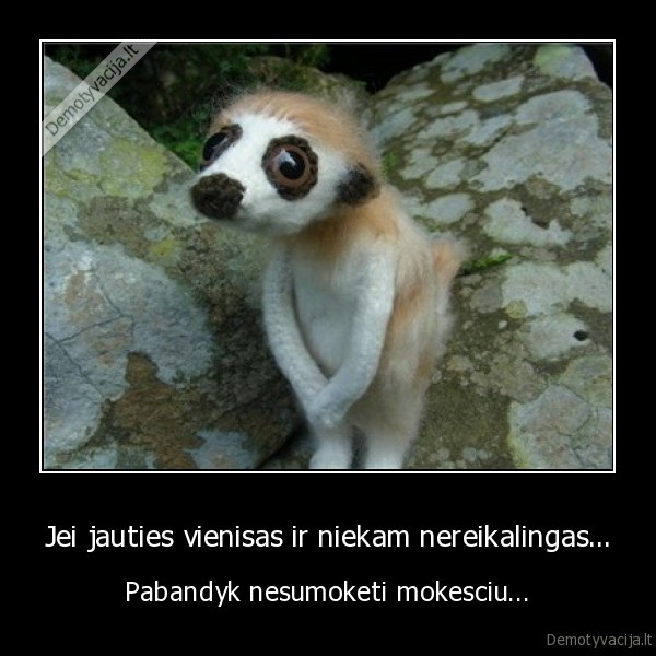 Jei jauties vienisas ir niekam nereikalingas...