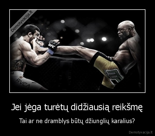 dziungliu, karalius,dramblys,jega,boksas,liutas
