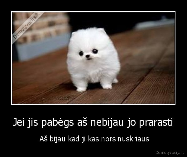 uz, kieviena, karta, kai, kubilius, vagia, mirsta, kudikis