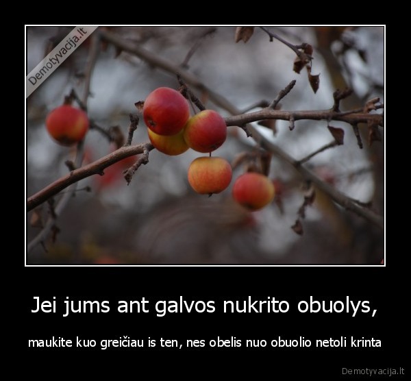 obuolys,obelis,krinta,galvos,netoli