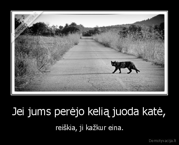 kate,katinas,juoda, kate,horoskopai