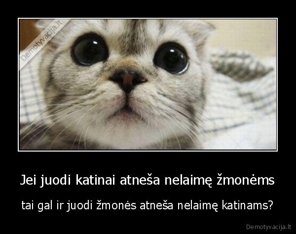 katinai,zmones,juodi