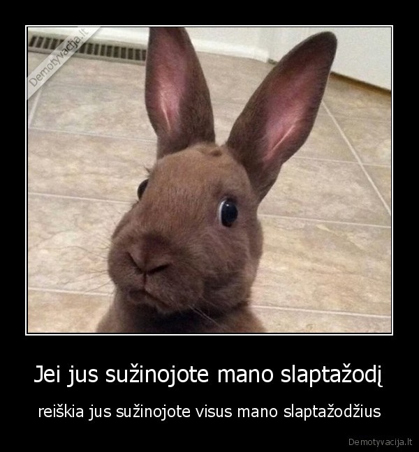 slaptazodis