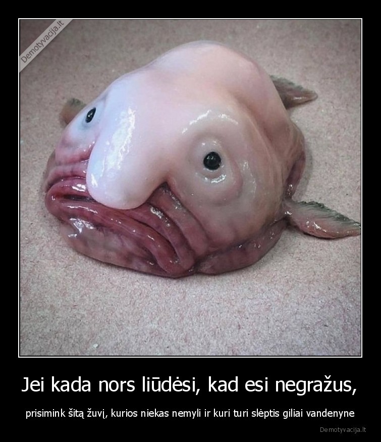negrazus,baisus,zuvis,giliai